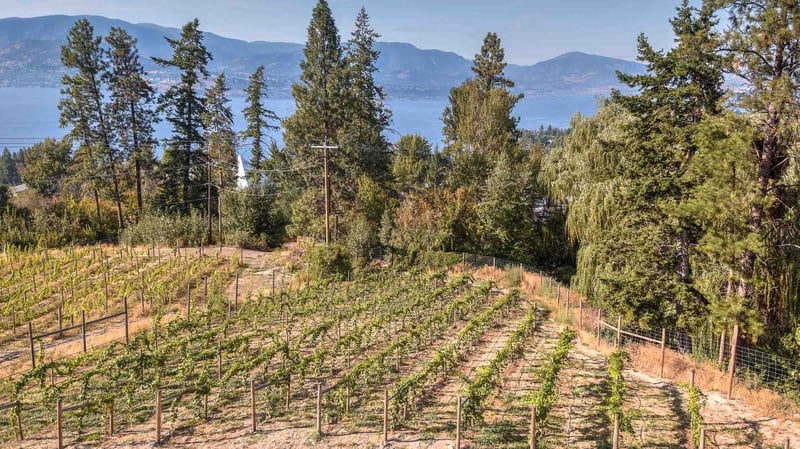 Luxury estate at 4920 Chute Lake Road, Kelowna, BC — photo 5