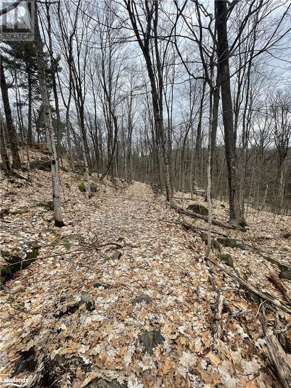 Luxury estate at Rossclair Road, Port Carling, ON — photo 14