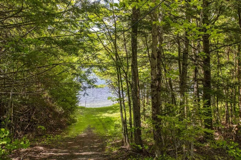 Luxury estate at 15 Chemin du Hibou, Eastman, QC — photo 61