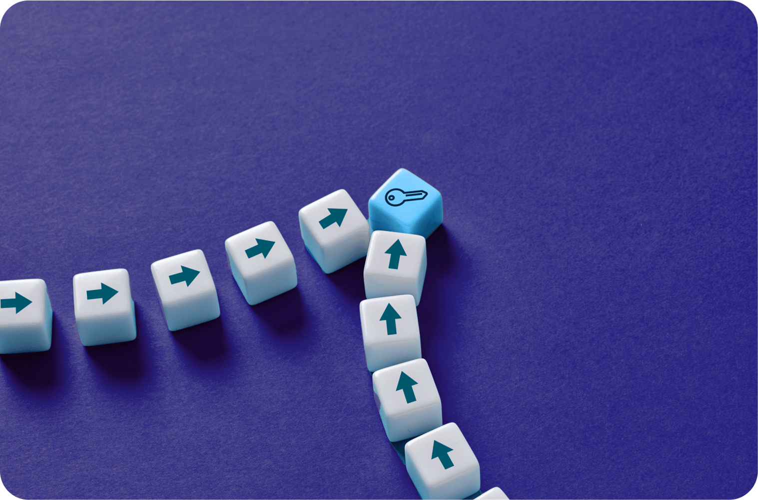 Sales Enablement teams, Sales Operations, Sales effectiveness, buying process and marketing efforts. 
