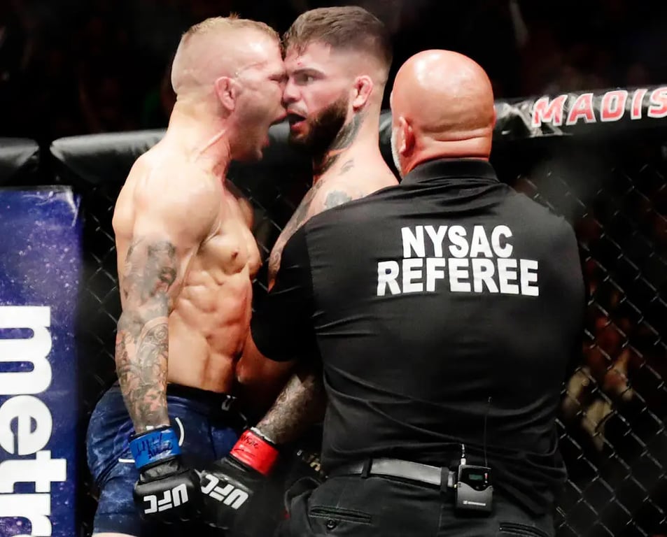 TJ Dillashaw screaming in Cody Garbrandt's face after finishing him. Credits to: AP Photo:Frank Franklin