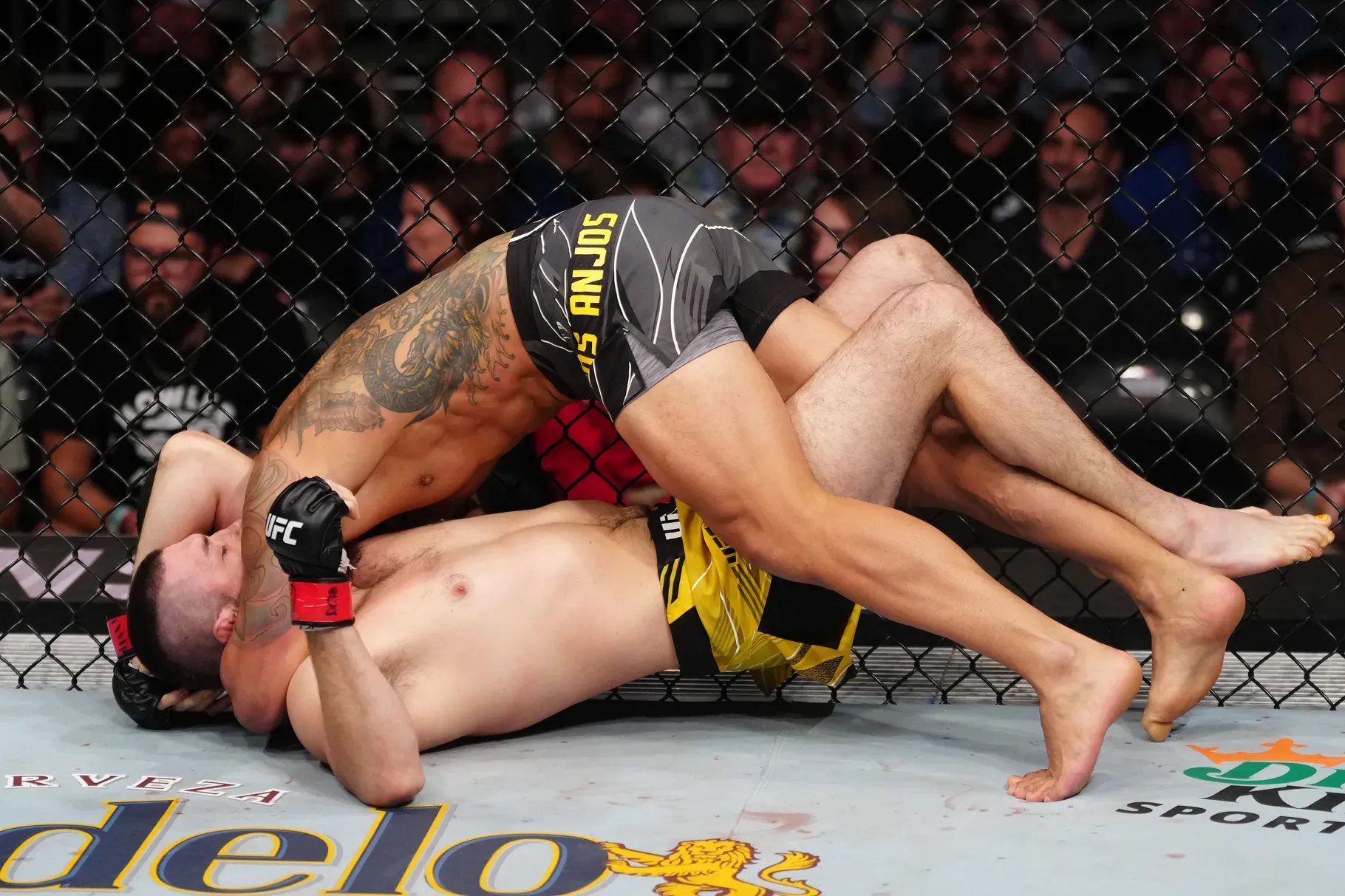Rafael Dos Anjos submitting Bryan Barbarena. Photo by Jeff Bottari, Zuffa LLC.
