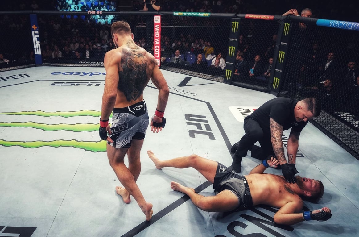 Nikita Krylov knocks Alexander Gustafsson out in London. Credits to: Zuffa LLC