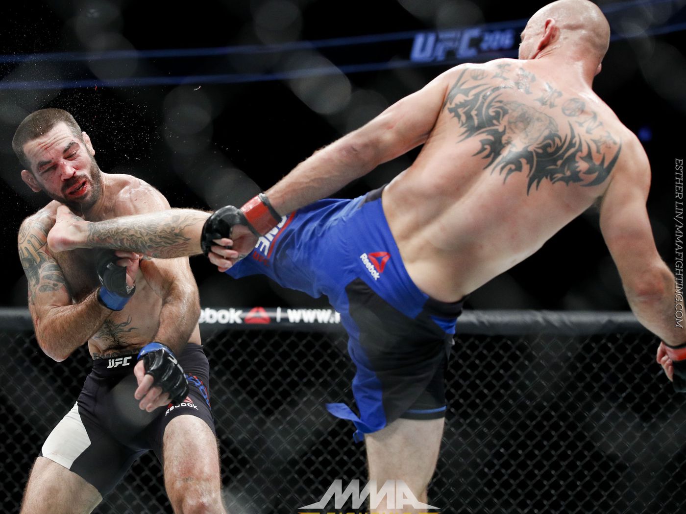 Cowboy Cerrone finishes Matt Brown with a devastating head kick. Credit: Esther Linn, MMAFighting.