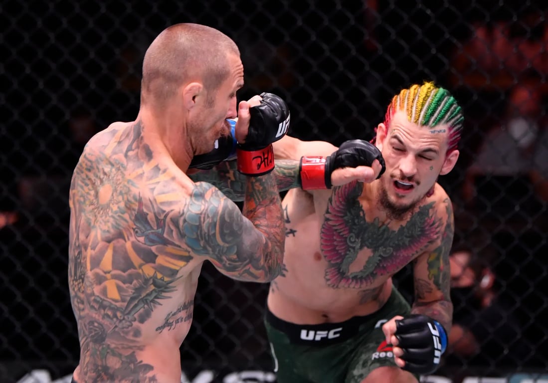 Sean O'Malley lands a right hand against Eddie Wineland. Photo credit: USA Today Sports