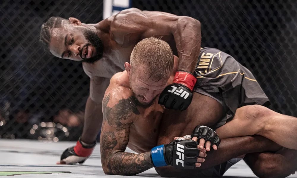 Aljamain Sterling gets the TKO over TJ Dillashaw. Credit: Craig Kidwell, USA TODAY Sports