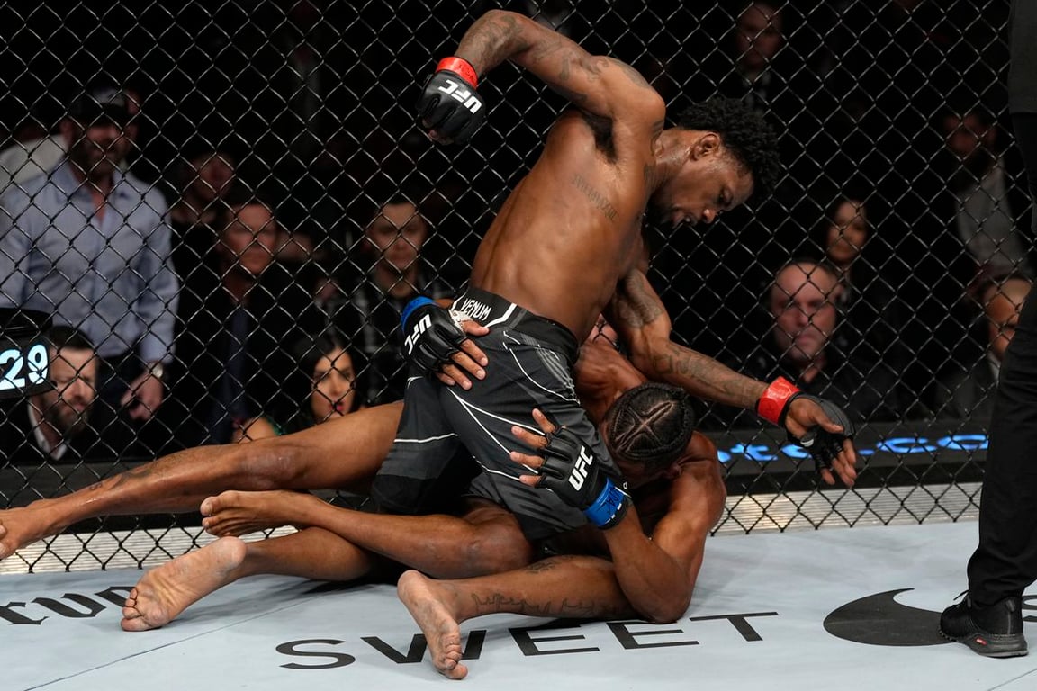 Jeff Bottari/Zuffa LLC/Getty Images
