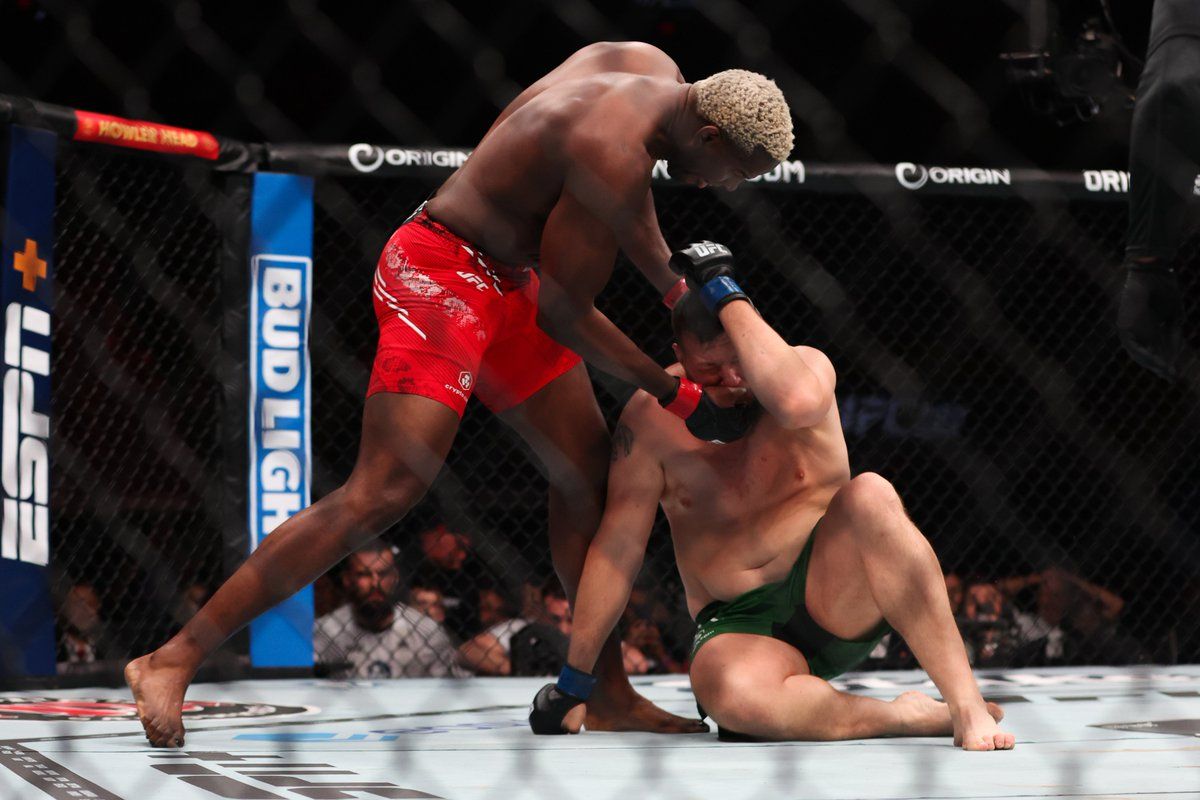 Robelis Despaigne blasts Josh Parisian with ground and pound. Credit: Zuffa LLC.