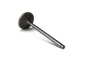 6221-43-4110 Valve, Intake - Fits Komatsu Equipment