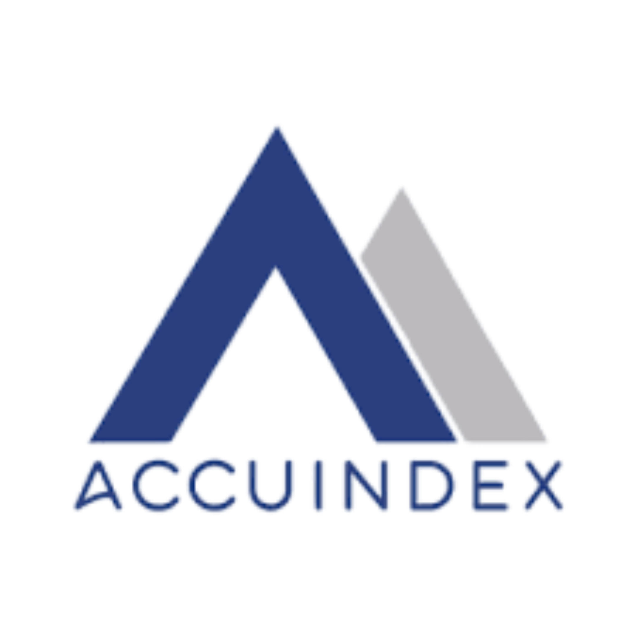 Accuindex Logo