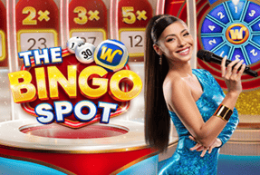 The Bingo Spot