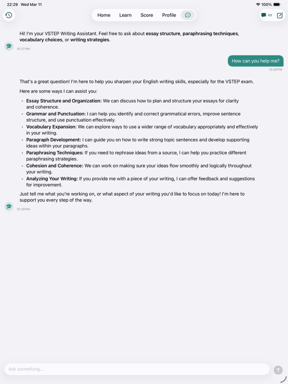 AI Chat on iPad