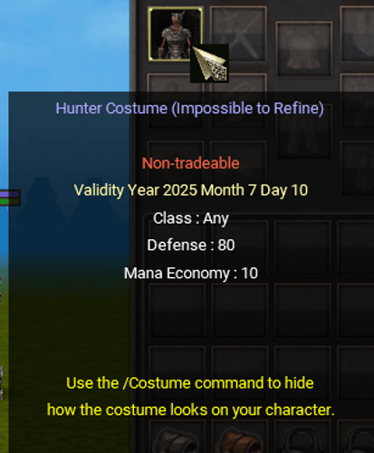 Hunter Costume