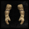 Wolf_Spirit_Pelt_Gloves(Normal)