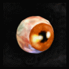 Orb_of_Shadow
