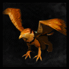 Hippogriff's Baby