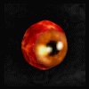 Orb_of_Fire