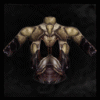 Shadow_Robe_Tunic(Arcane)