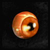 Orb_of_Thunder