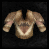 Wolf_Spirit_Pelt_Breastplate(Normal)