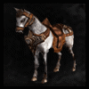 Swift_Horse(B)