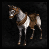 Steed(B)