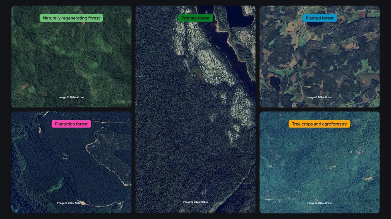 Satellite examples comparing five forest classes