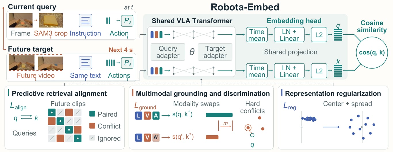 Robota-Embed query and future-target inputs entering a shared vision-language-action transformer