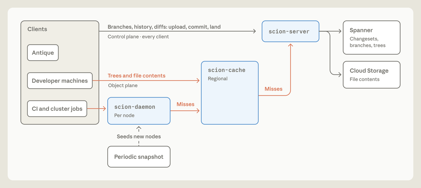 Scion architecture with clients, node daemons, regional caches, and servers