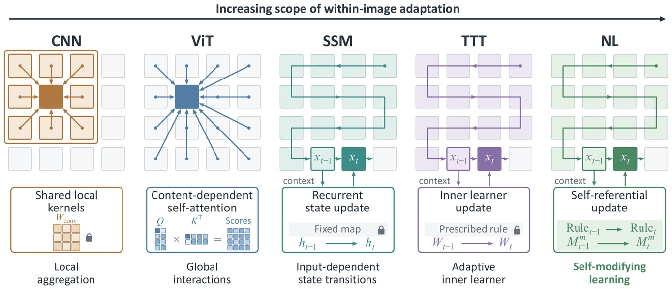 Progression from convolutional networks to nested learning with increasing within-image adaptation