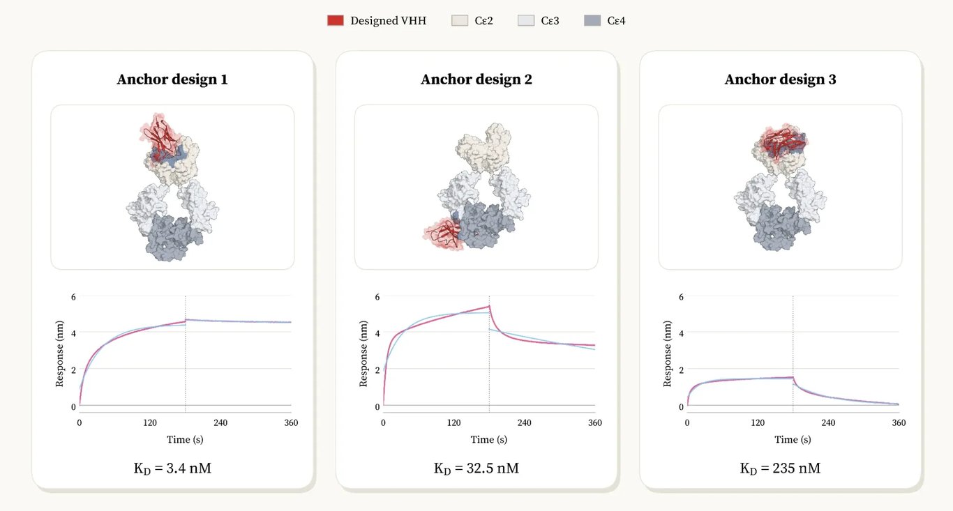 Three antibody anchor designs alongside graphs of their IgE-binding kinetics