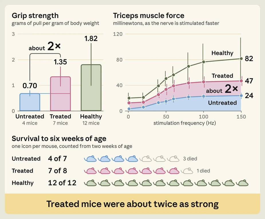 Mouse-study charts comparing grip strength, triceps force, and survival among untreated, treated, and healthy groups
