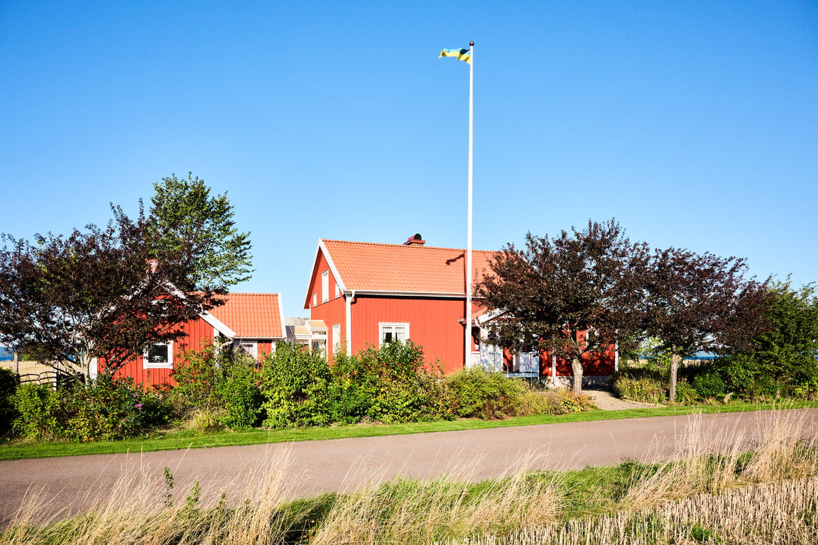 Bild 3 från Erik Olsson