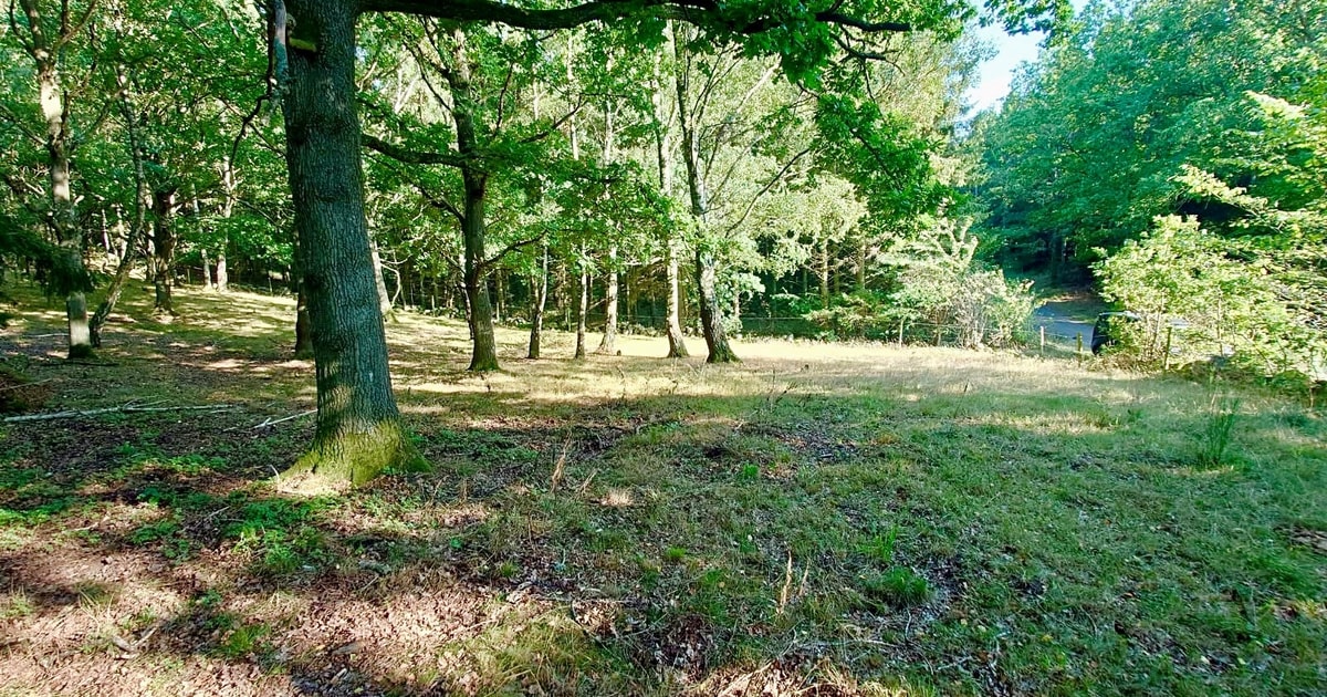 Del Av Gladsax 23:42