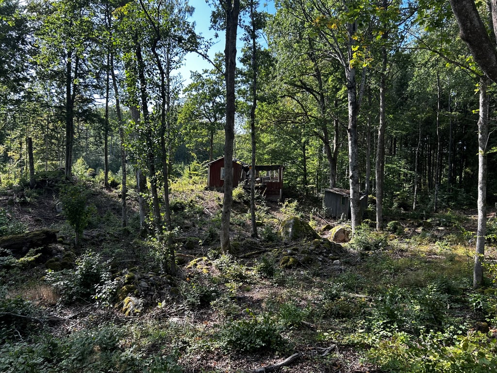 Bild 3 från Erik Olsson