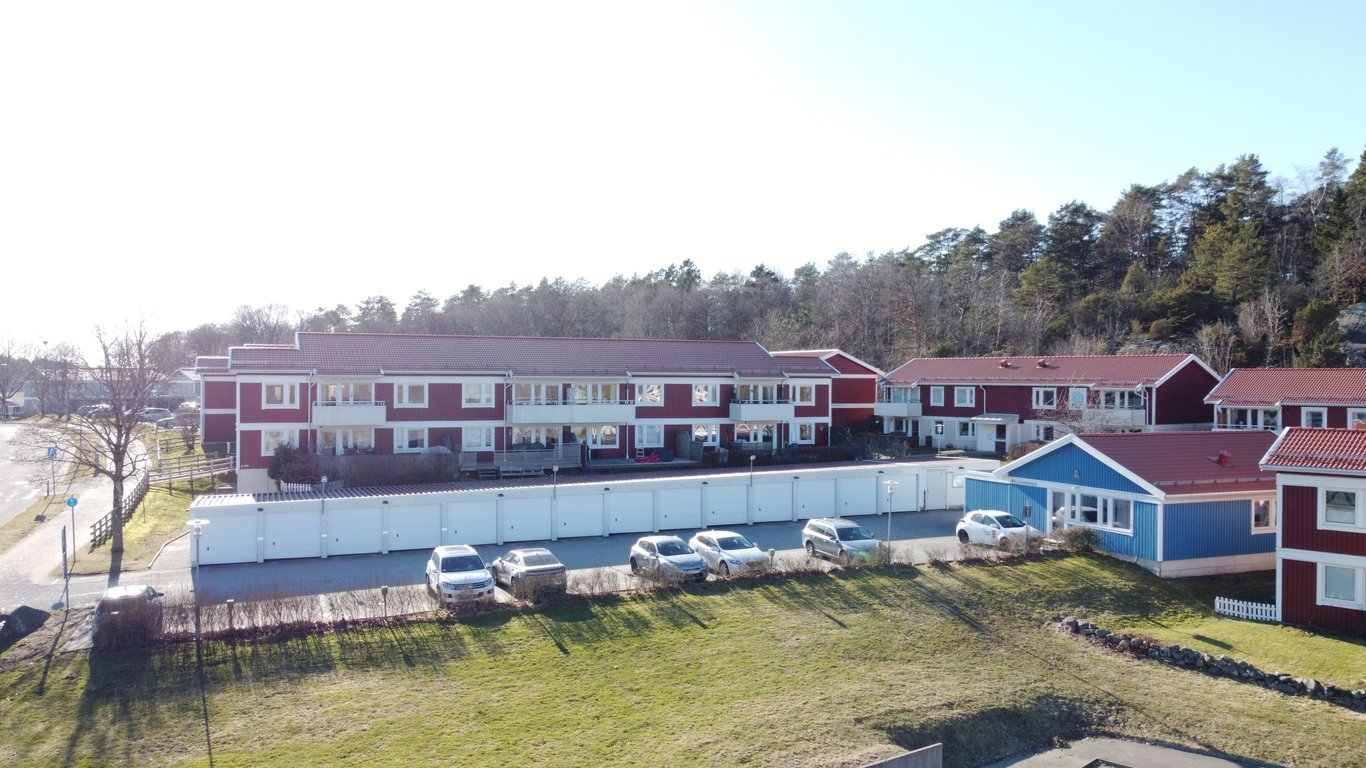 Bild 3 från Erik Olsson