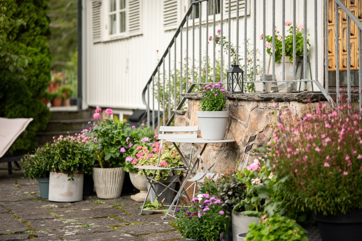 Bild 3 från Erik Olsson