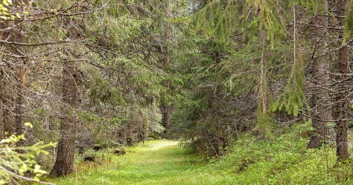 Krokom Tuvattnet 1:34