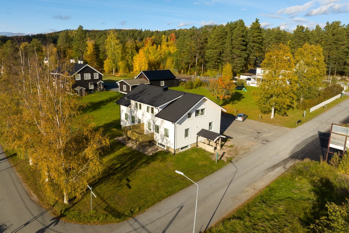 Bild 3 från Erik Olsson