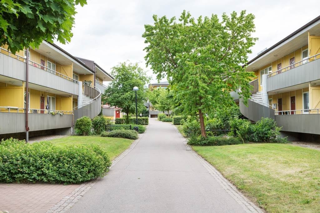 Bild 3 från Erik Olsson