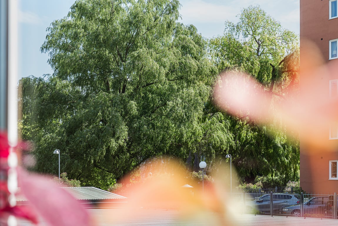 Bild 2 från Erik Olsson