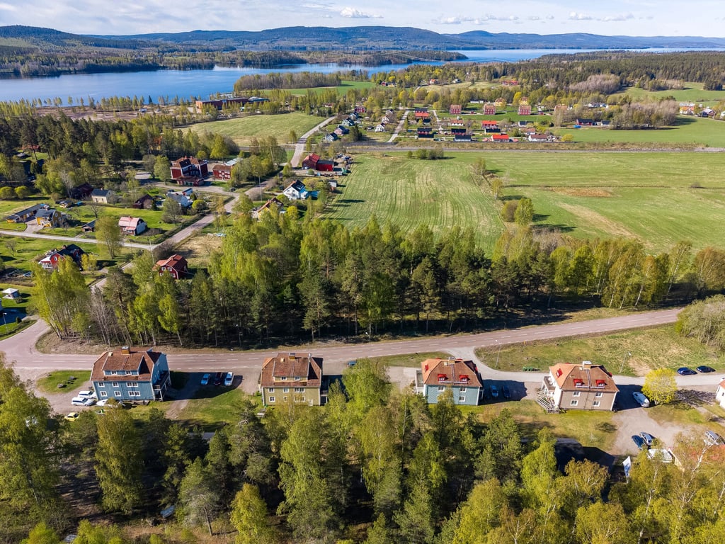 Bild 3 från Erik Olsson
