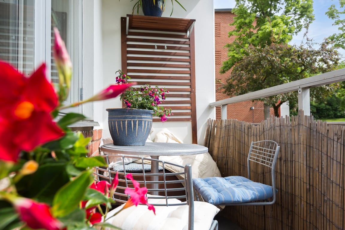 Bild 3 från Erik Olsson