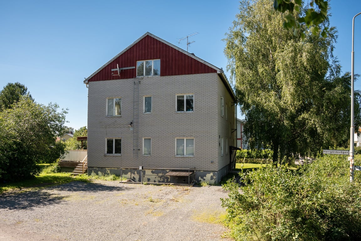 Bild 3 från Erik Olsson