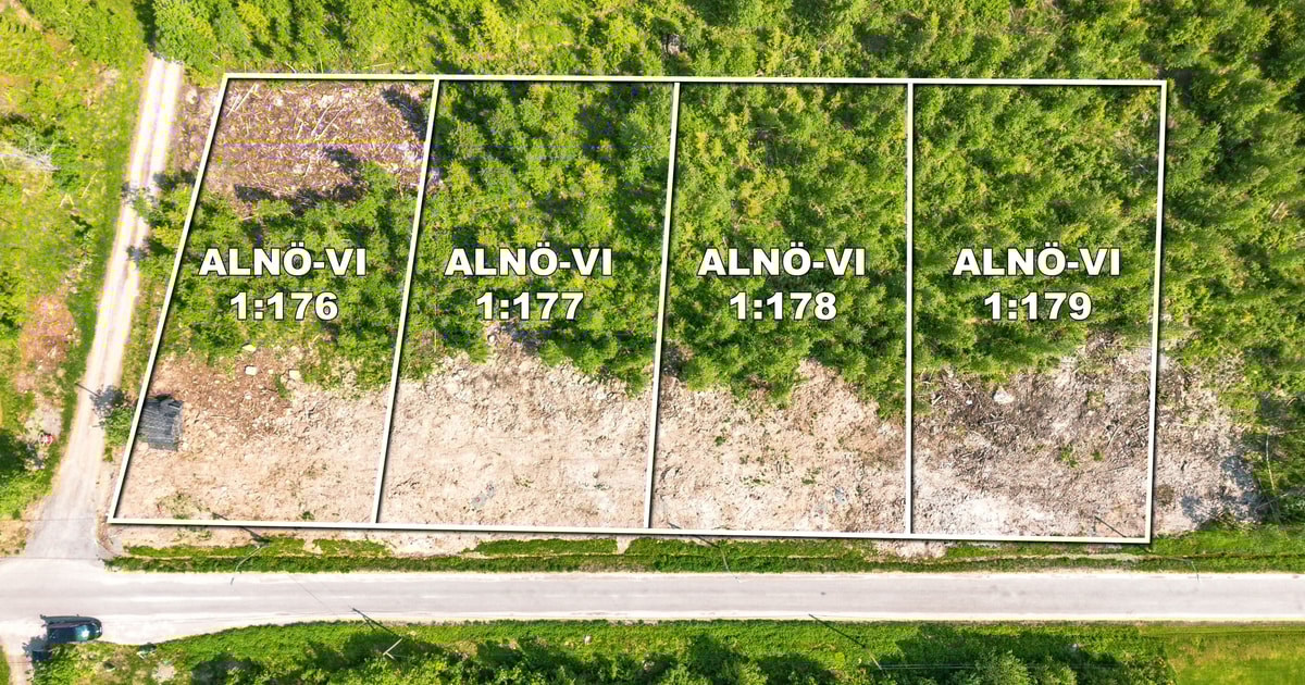 Stillsamt Läge i Räbbmoskogen På Alnö