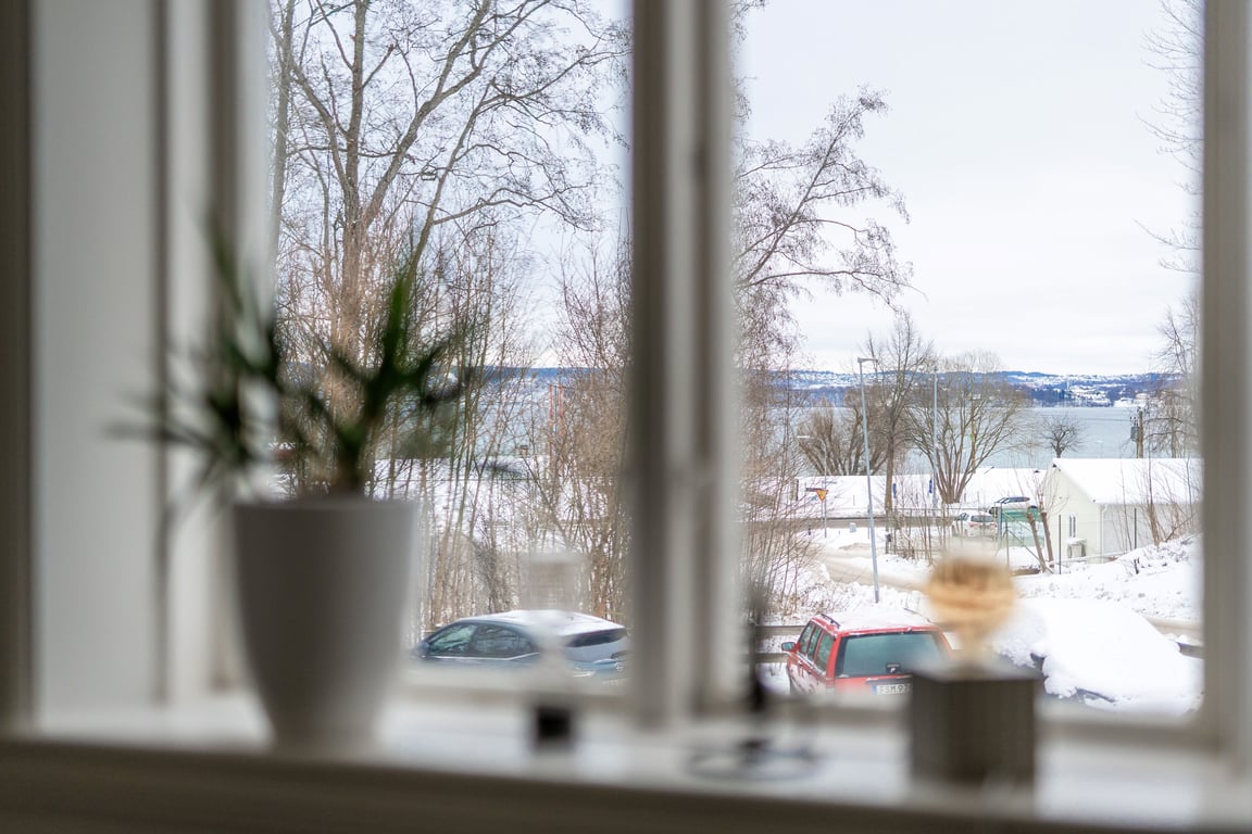 Bild 3 från Erik Olsson