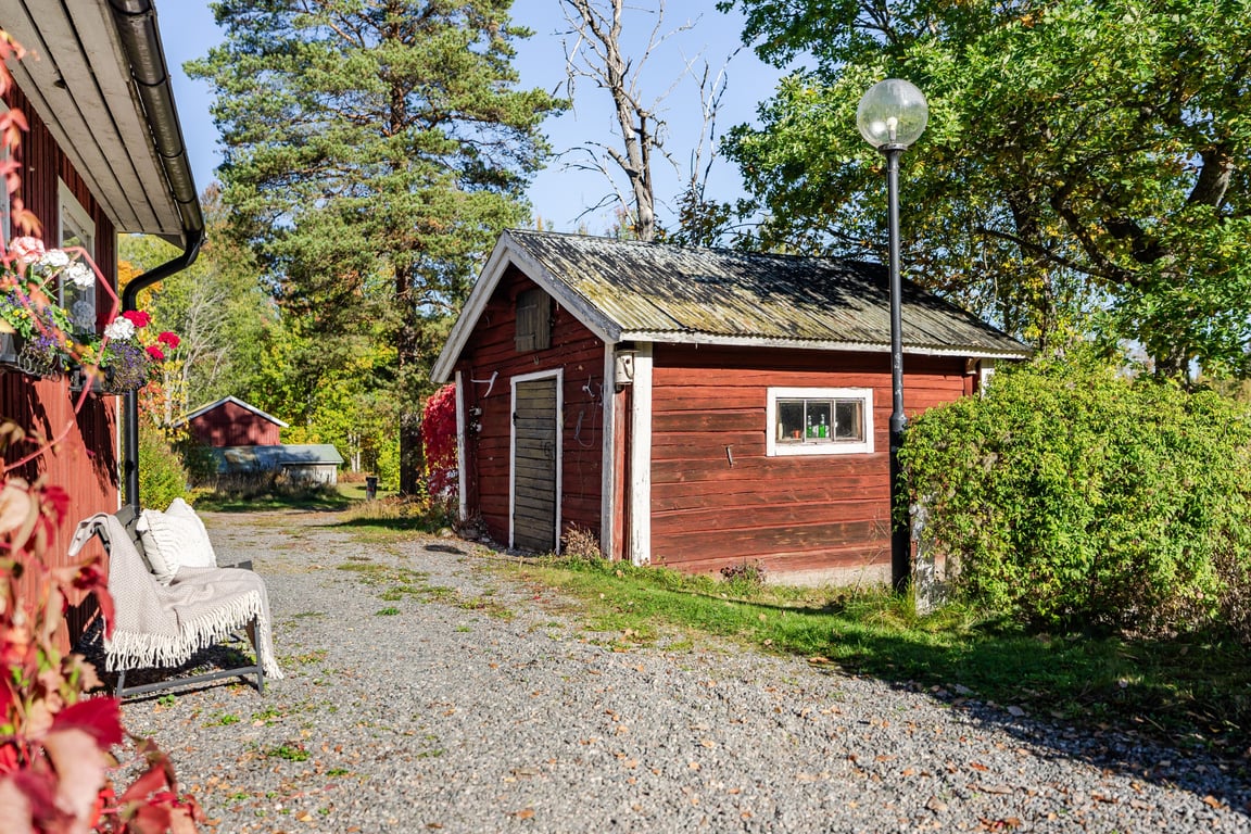 Bild 3 från Erik Olsson