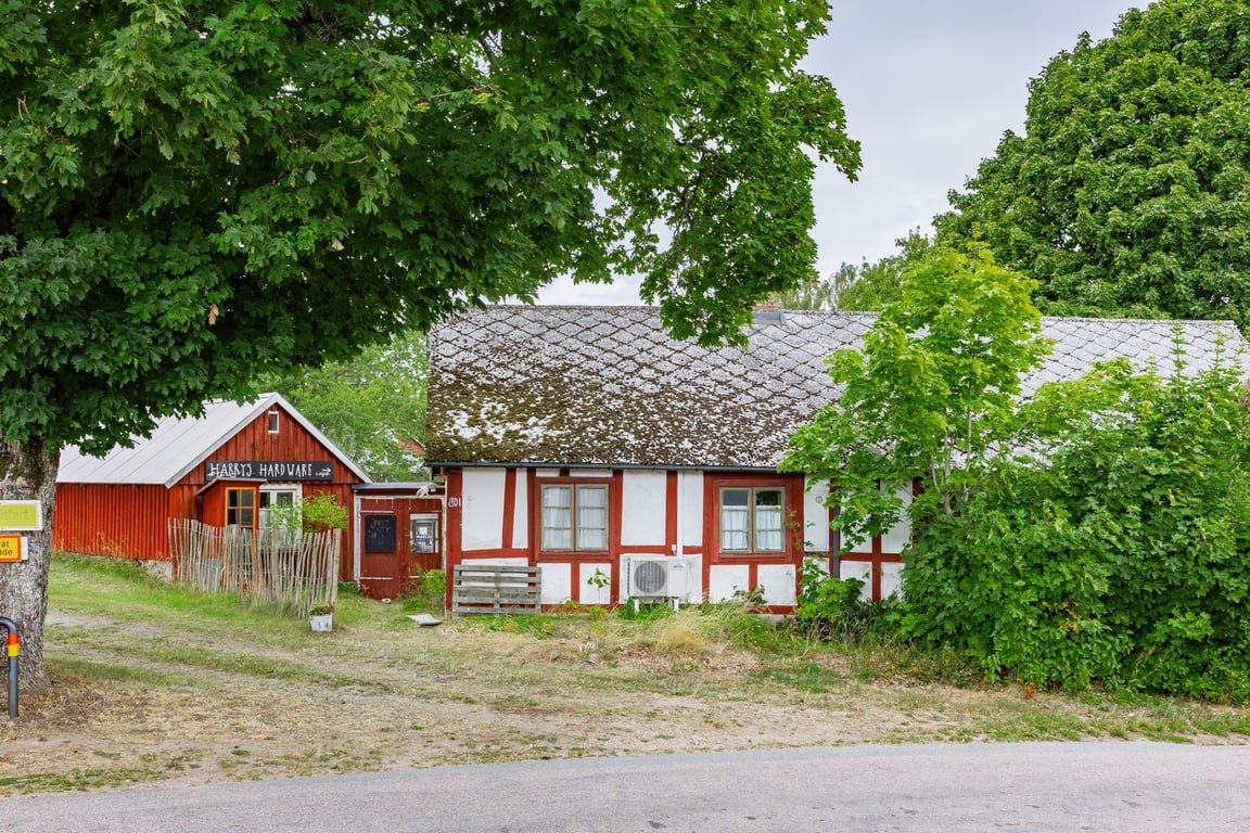 Bild 3 från Erik Olsson