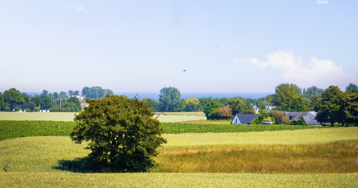 Möllevångsgatan 24