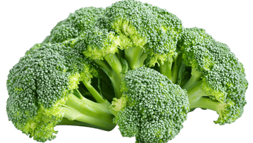 Fresh Broccoli Florets Close-Up